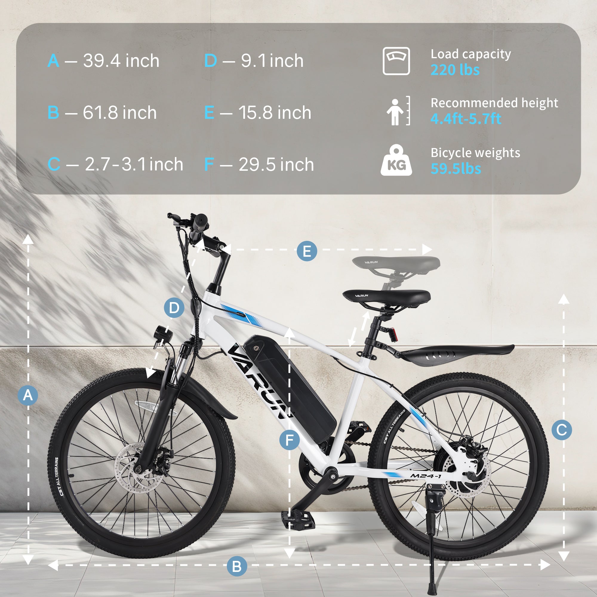 VARUN M24-1 Electric Bike