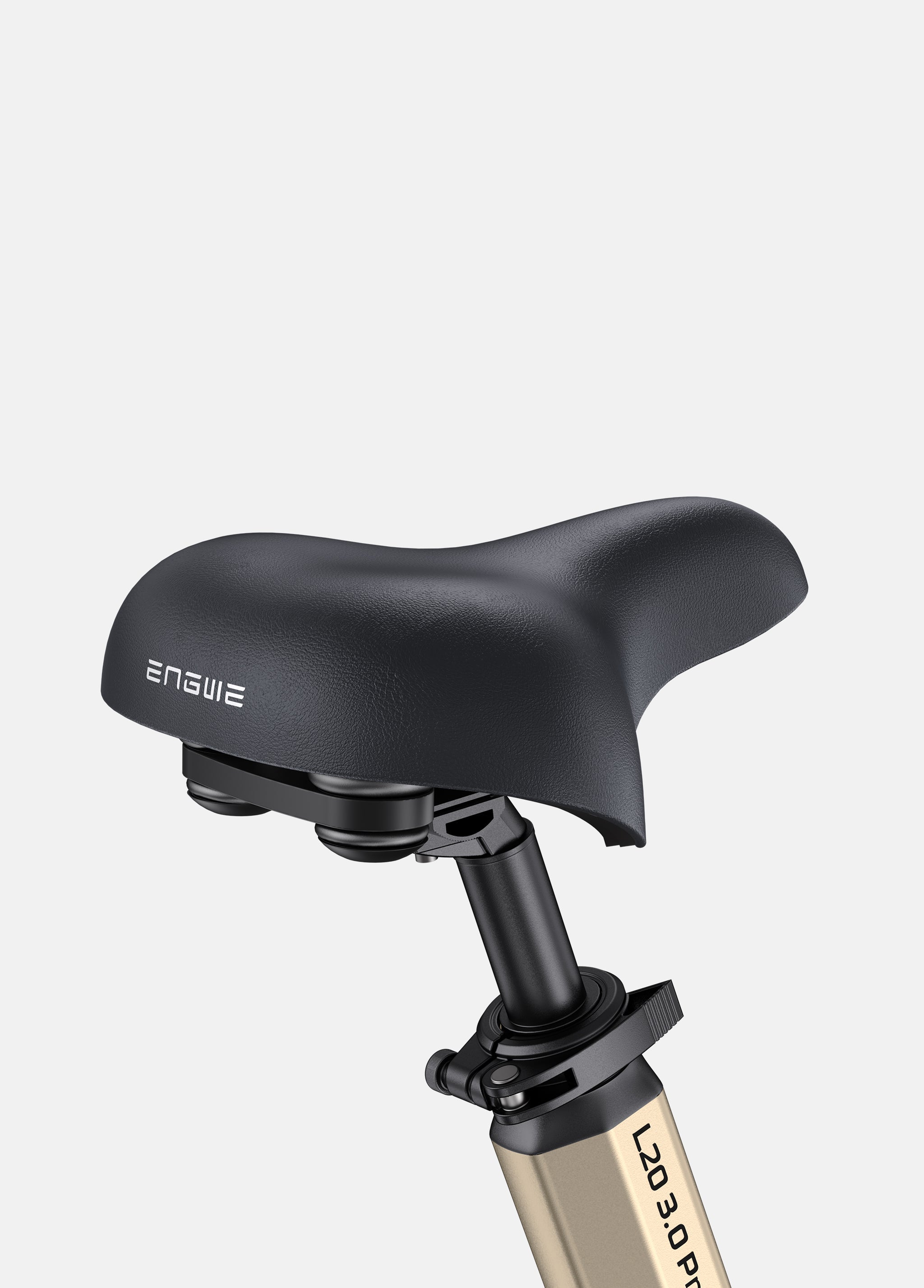 ENGWE L20 3.0 Pro Electric Bike