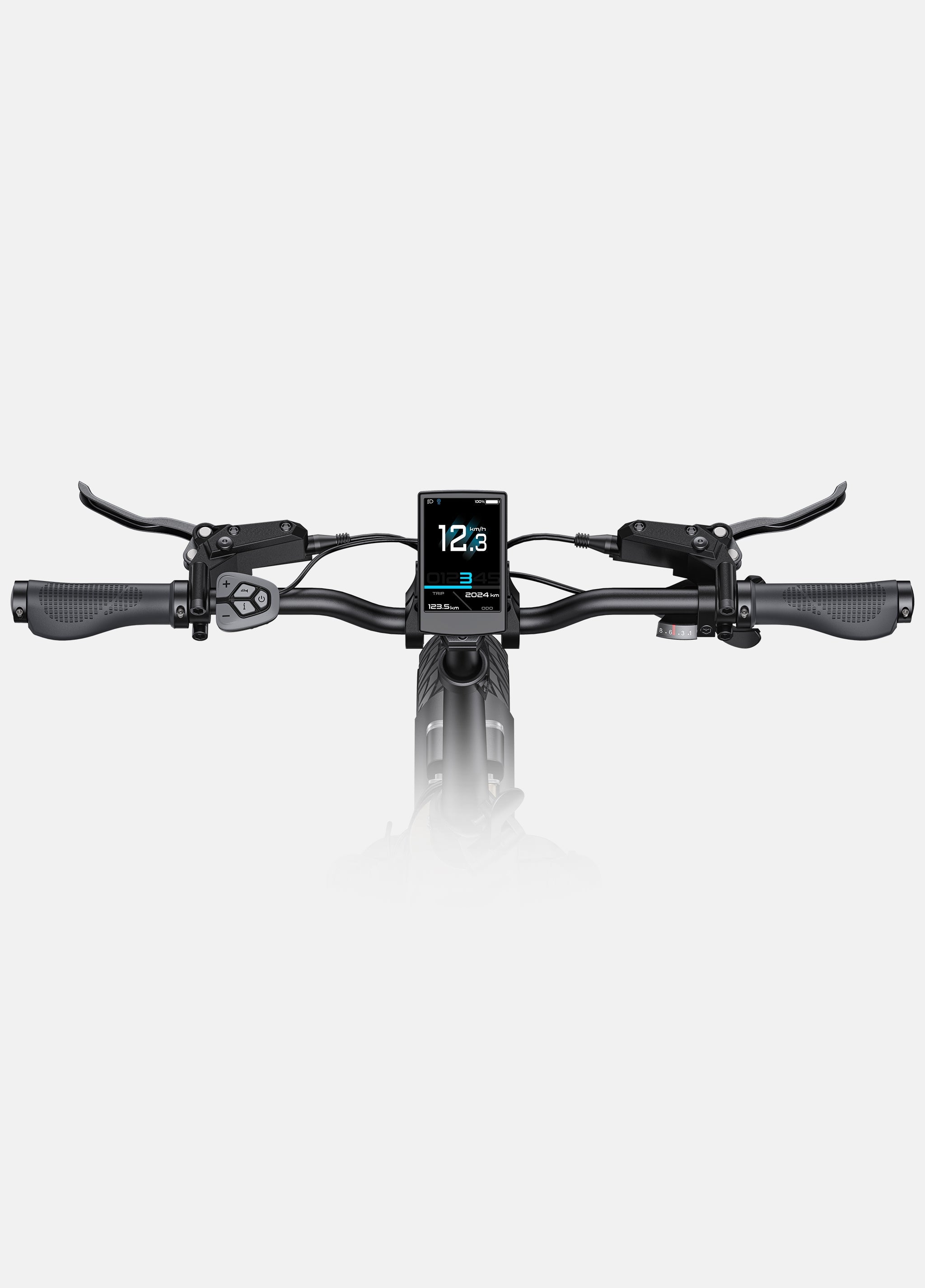 ENGWE L20 3.0 Pro Electric Bike
