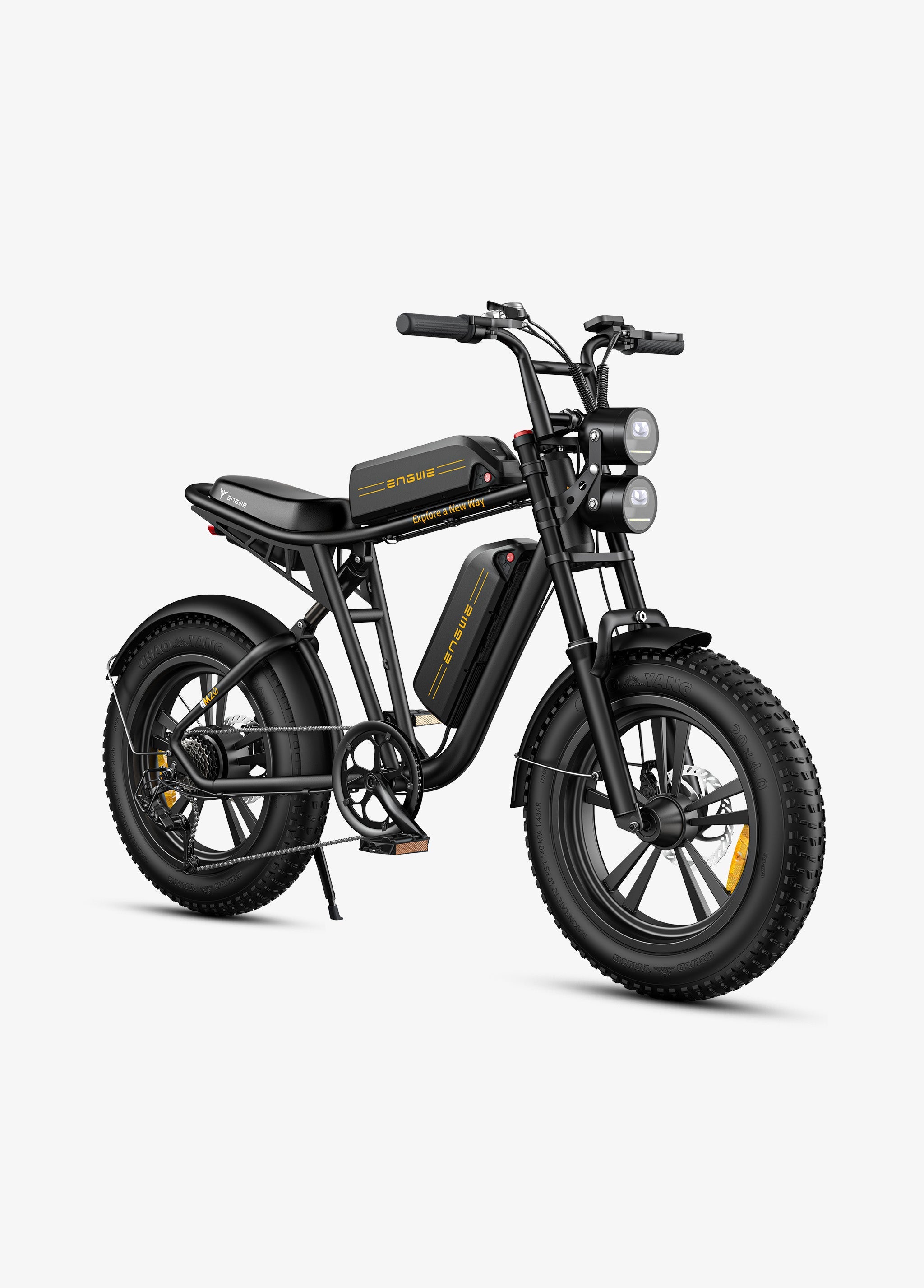 ENGWE M20 Electric Bike