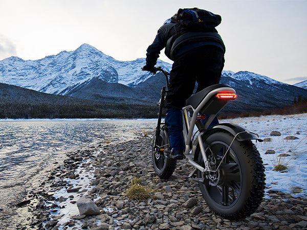 How to Choose the Best Off-road Electric Bike？