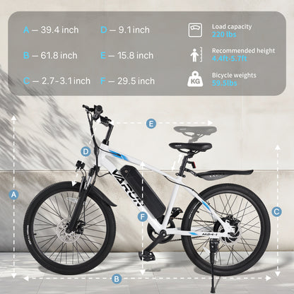 VARUN M24-1 Electric Bike