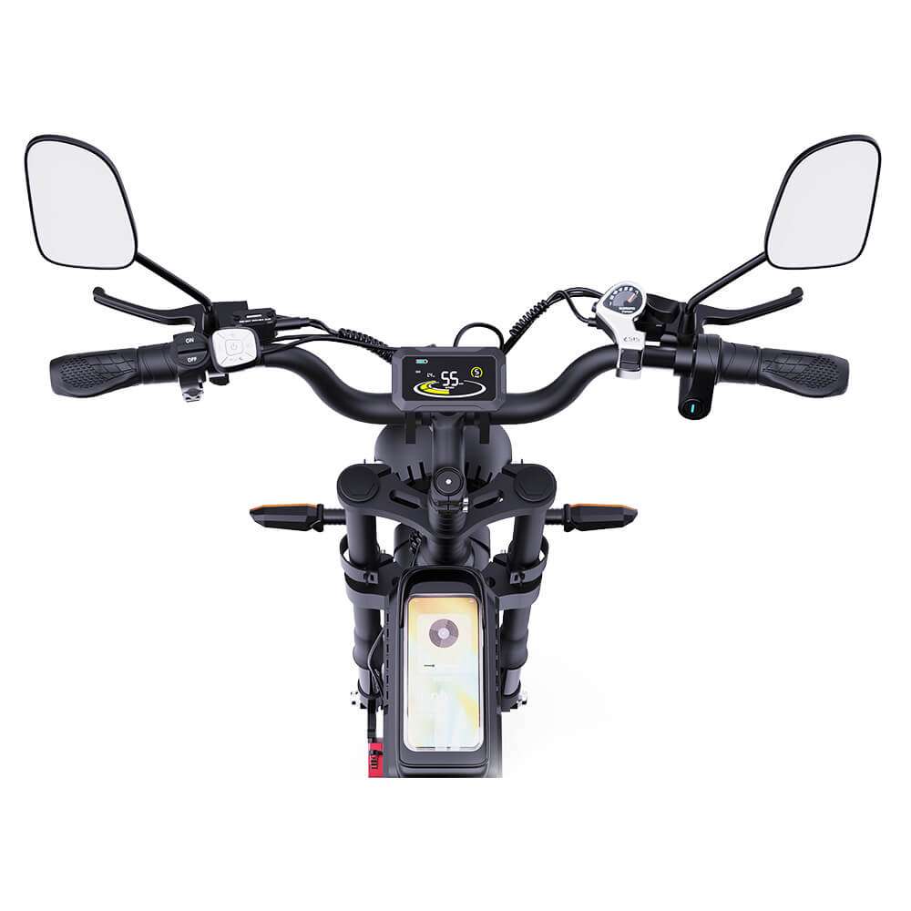 Ridstar Q20 Pro Electric Bike 2000W 35MPH  Motor 52V 40AH Battery