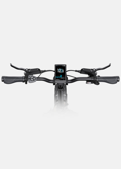 ENGWE L20 3.0 Pro Electric Bike