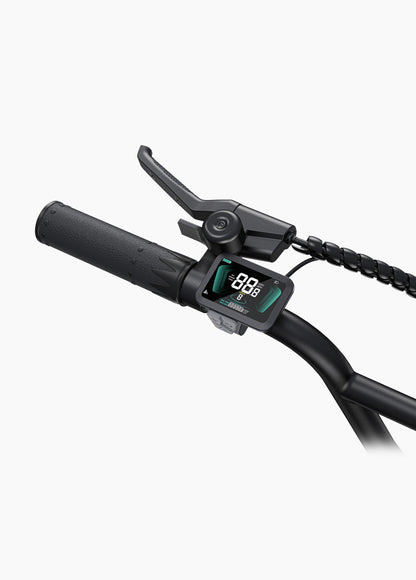 ENGWE L20 Boost Electric Bike