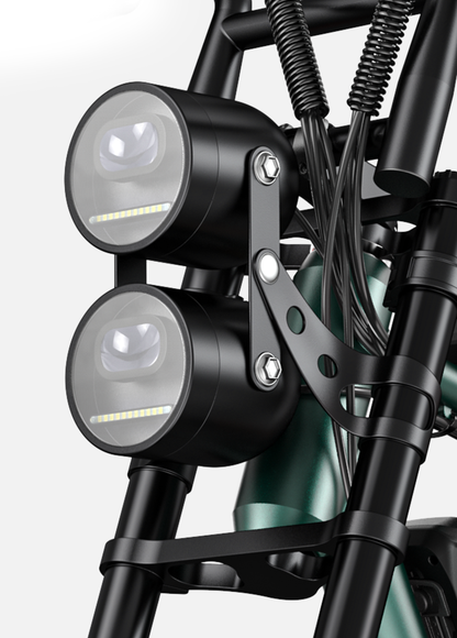 ENGWE M20 Electric Bike