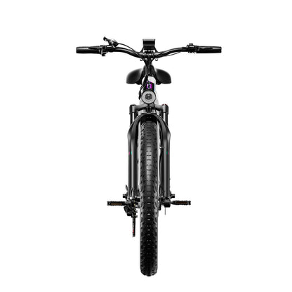 Shengmilo MX06 Electric Bike