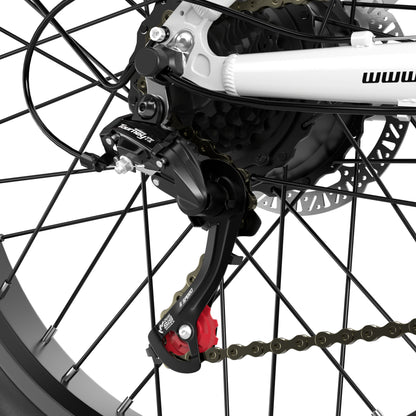 Shengmilo MX06 Electric Bike
