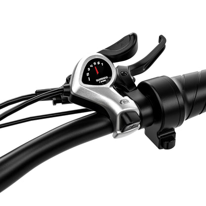 Shengmilo MX06 Electric Bike