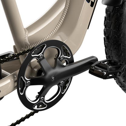 Shengmilo S700 Electric Bike