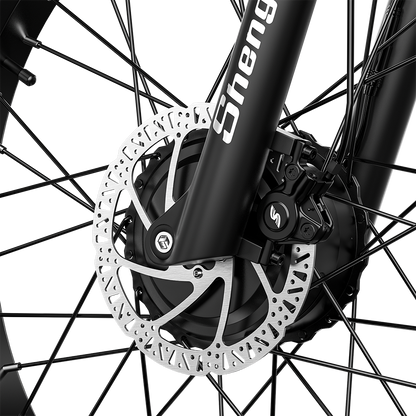 Shengmilo S700 Electric Bike