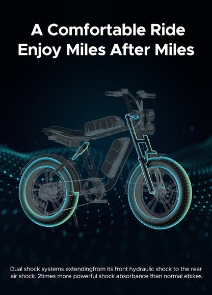 ENGWE M20 Electric Bike