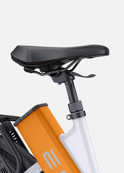 ENGWE P275 ST Electric Bike