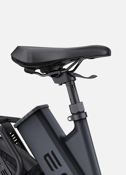 ENGWE P275 ST Electric Bike