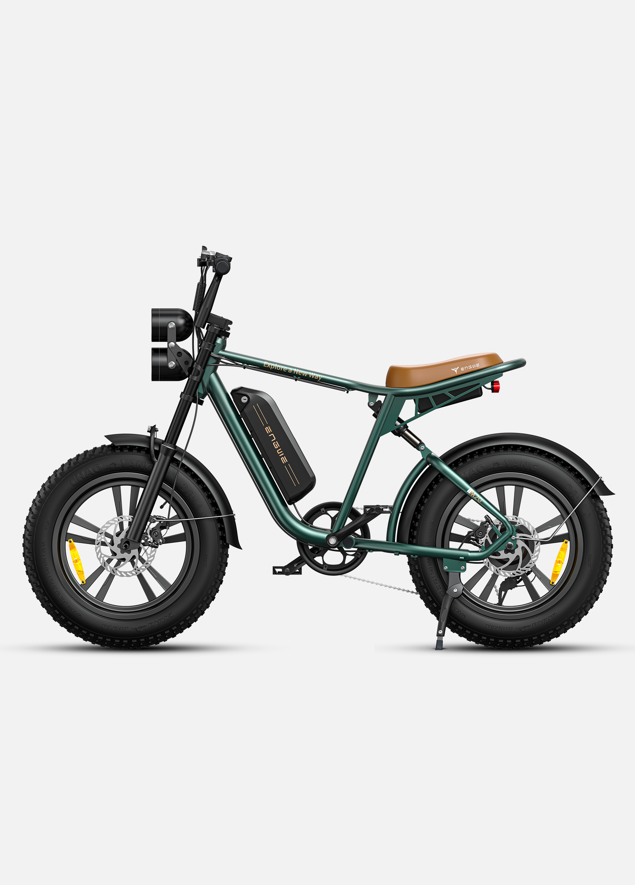 ENGWE M20 Electric Bike