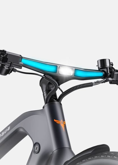ENGWE MAPFOUR N1 PRO Electric Bike