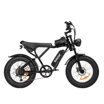 Ridstar Q20 Lite E-Bike 1000W Motor 25MPH 48V 15AH Battery