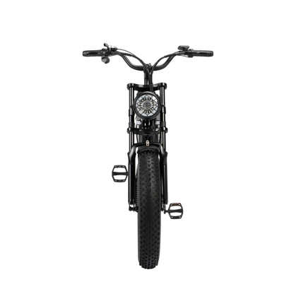 Ridstar Q20 Lite E-Bike 1000W Motor 25MPH 48V 15AH Battery
