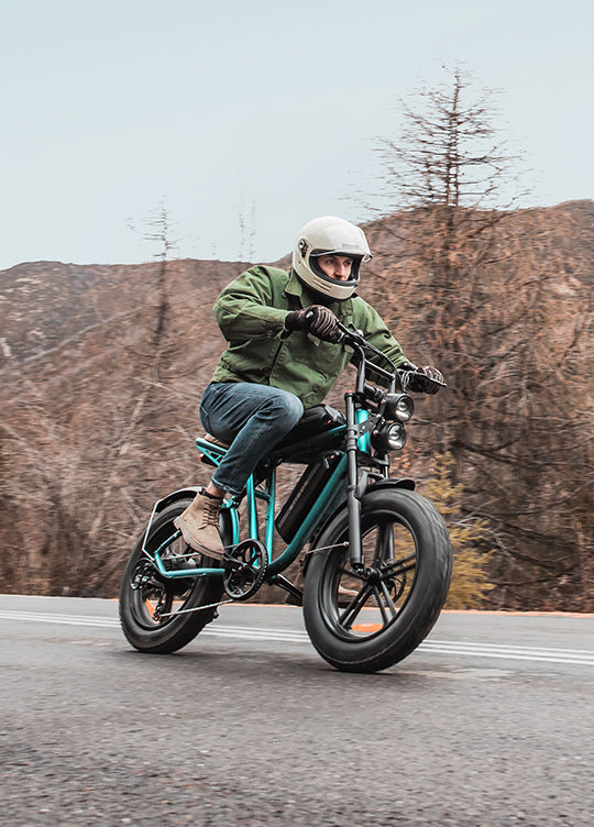 ENGWE M20 Electric Bike