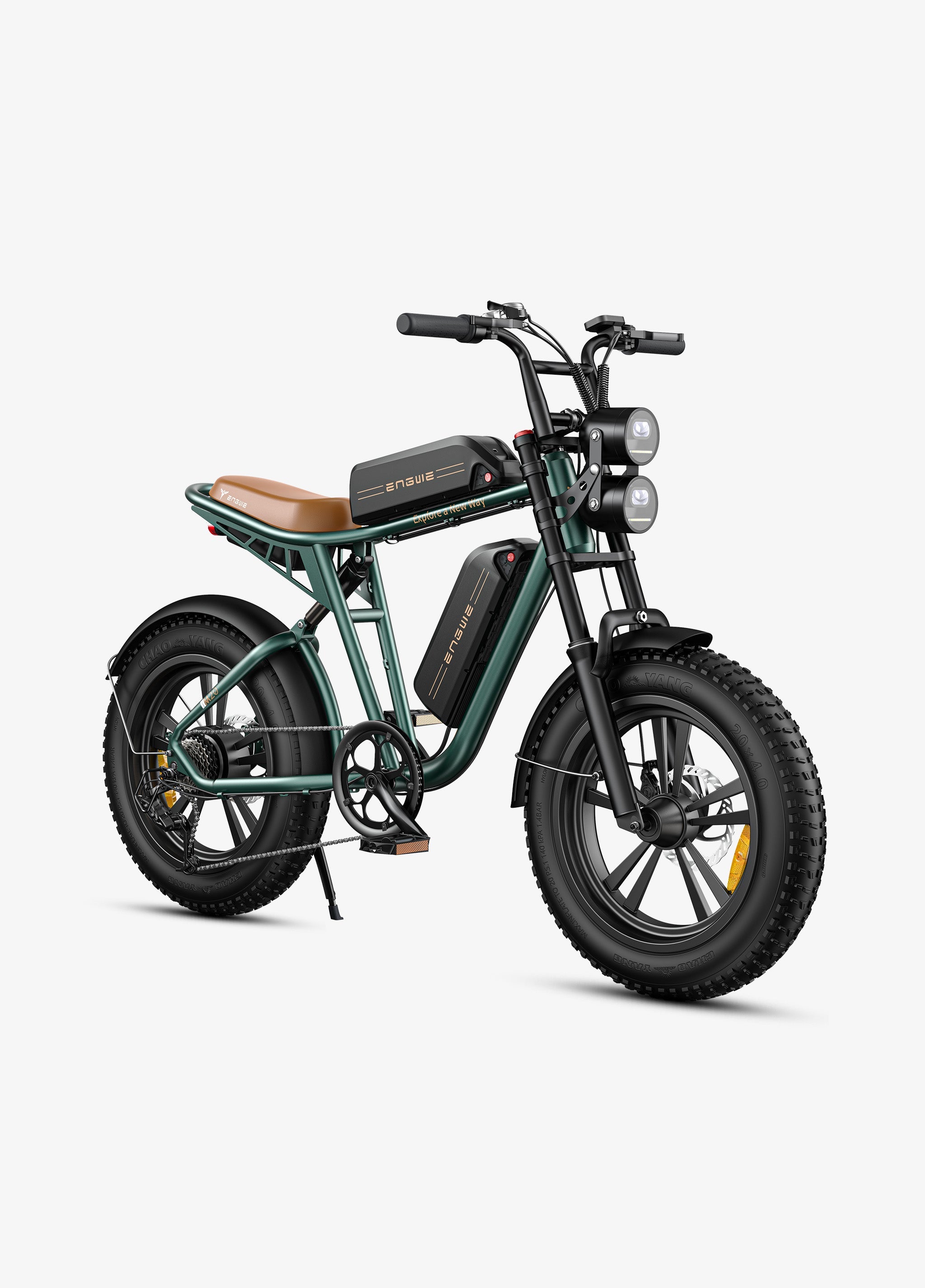 ENGWE M20 Electric Bike