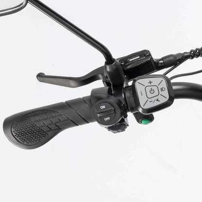 Ridstar Q20 Pro Electric Bike 2000W 35MPH  Motor 52V 40AH Battery