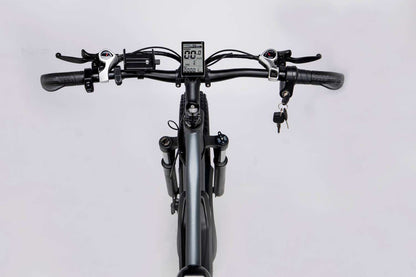 Ridstar E26/E26 Pro Electric Bike 2000W Motor 31MPH 48V 15AH/23AH Battery