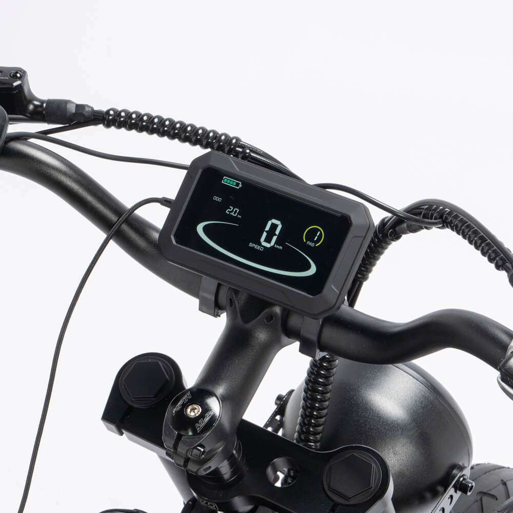Ridstar Q20 Pro Electric Bike 2000W 35MPH  Motor 52V 40AH Battery